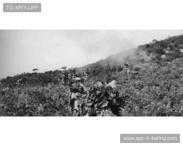 “南非羚羊队的防线支柱：埃尔斯·霍斯特的不可替代性”