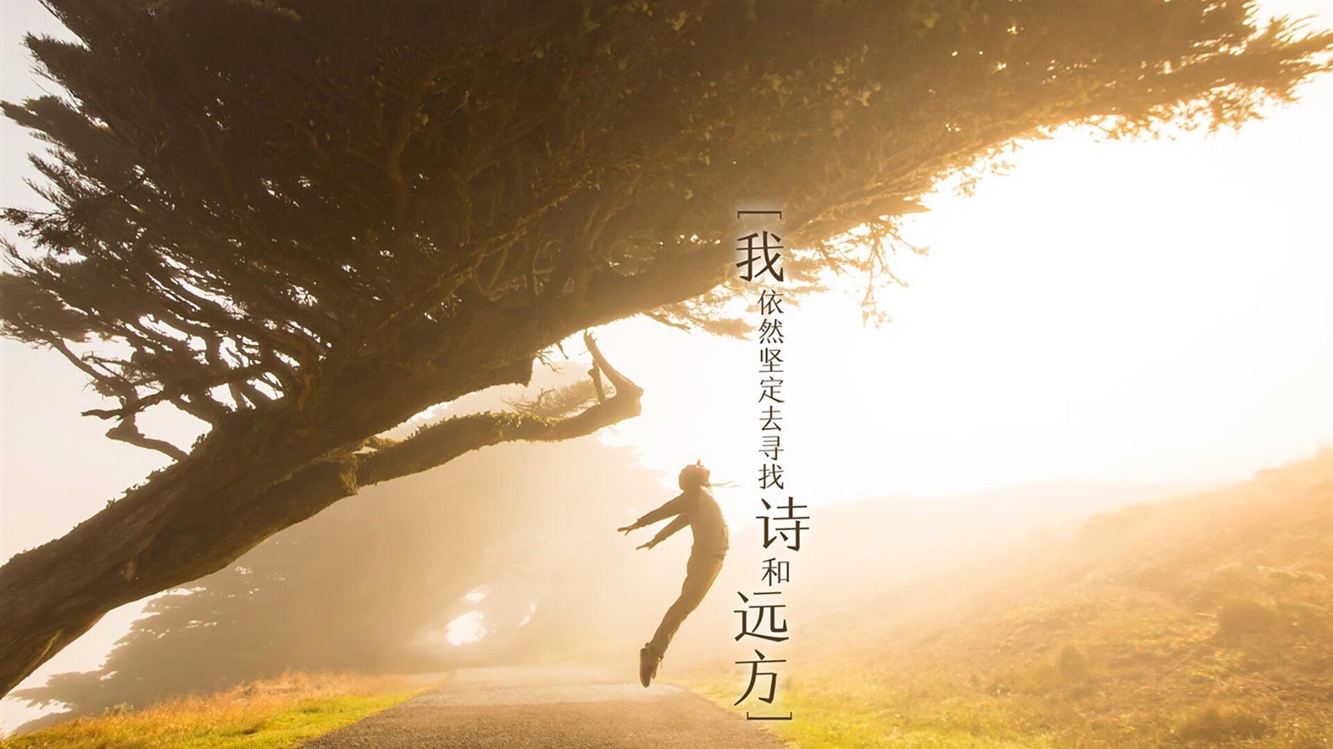 开运体育电脑版-体育产业政策执行情况分析，体育产业政策文件汇编