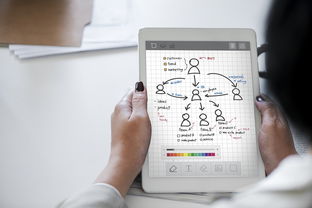 开云体育在线登入-体育赛事数字管理平台开发研究,体育数字化平台