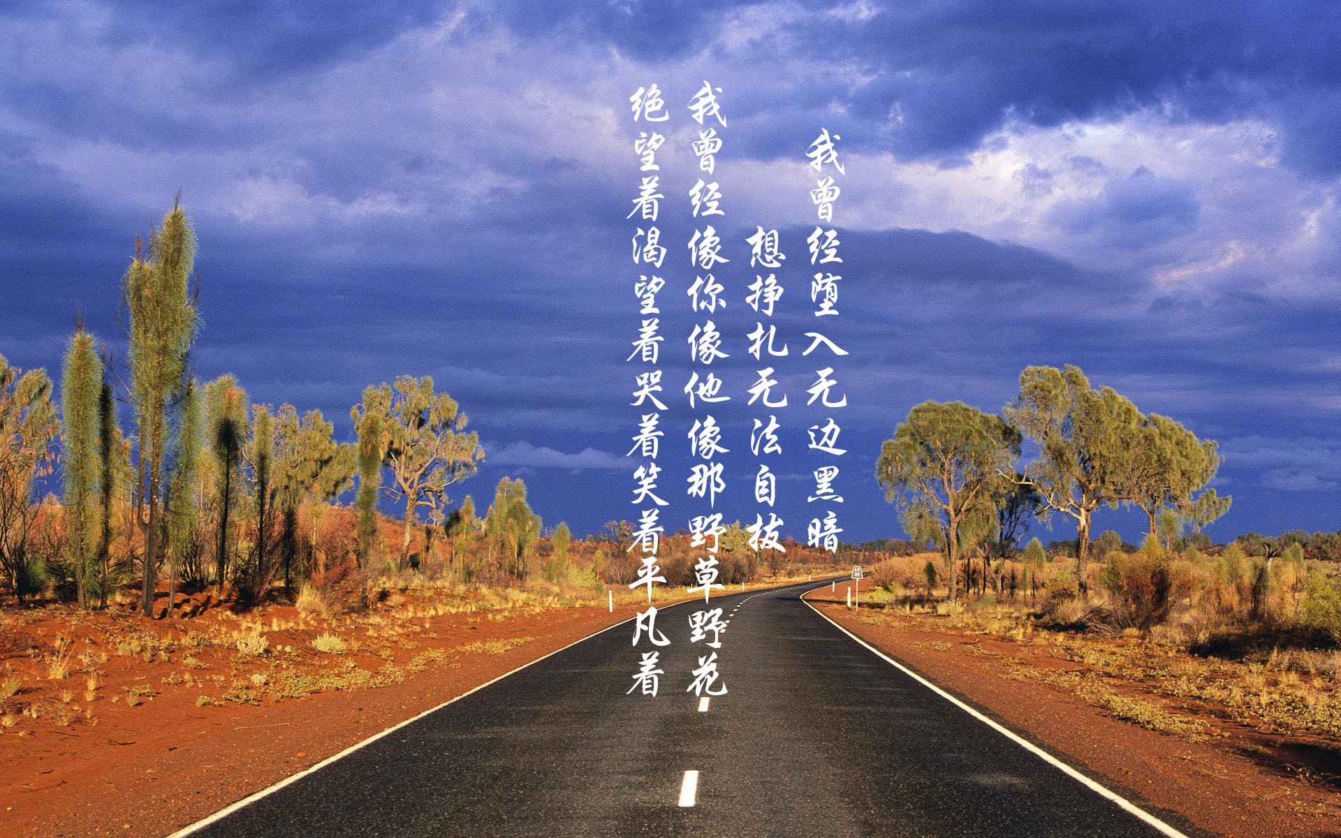 开云体育官网在线-潜力新星：年轻球员在比赛中的爆发表现，潜力型选手