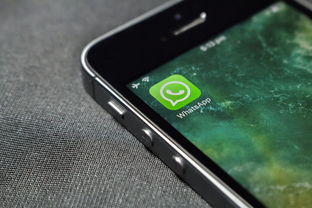 开云体育在线入口-球迷互动:比赛App的新功能带来新体验,球迷交流app
