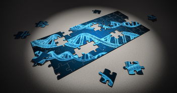 开云体育官网登入-青少年运动损伤康复技术创新研究,青少年运动损伤的原因有哪些