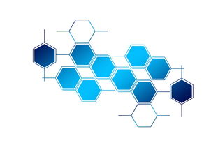 开云体育网址-高校体育课程教学创新策略及实践探索,高校体育教学模式