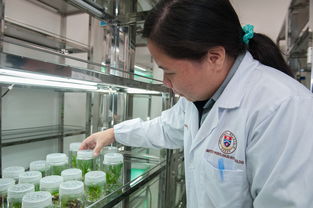 开云ky官网-青少年运动技能培养与行为干预研究,青少年运动技能等级测评