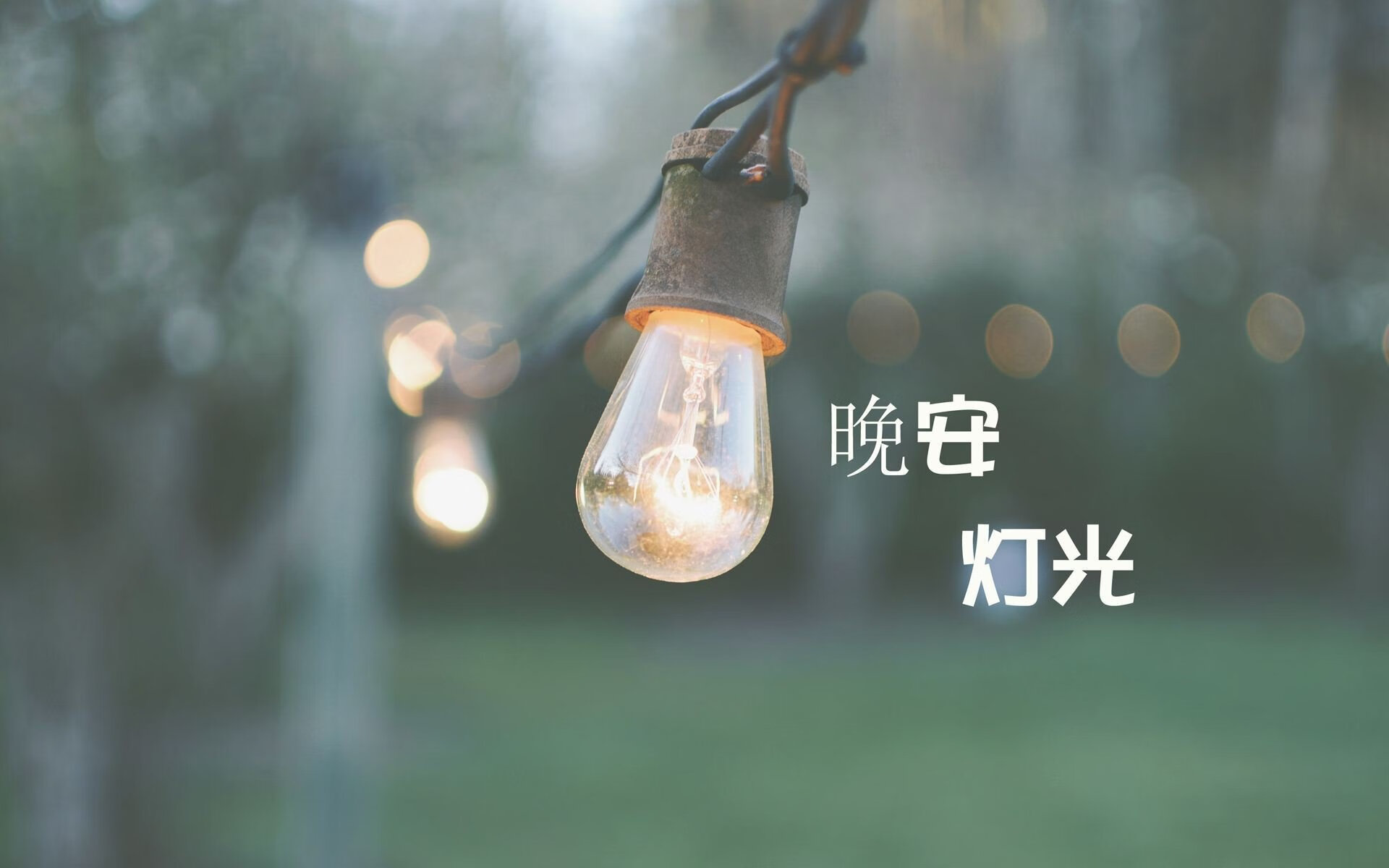 开云体育入口-亚洲游泳锦标赛开幕 中国选手首日三金,亚洲游泳冠军名单