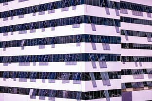 开云体育app注册-体育新闻中心建设体育数字内容版权保护体系,体育数据新闻 开云体育app注册-体育新闻中心建设体育数字内容版权保护体系,体育数据新闻