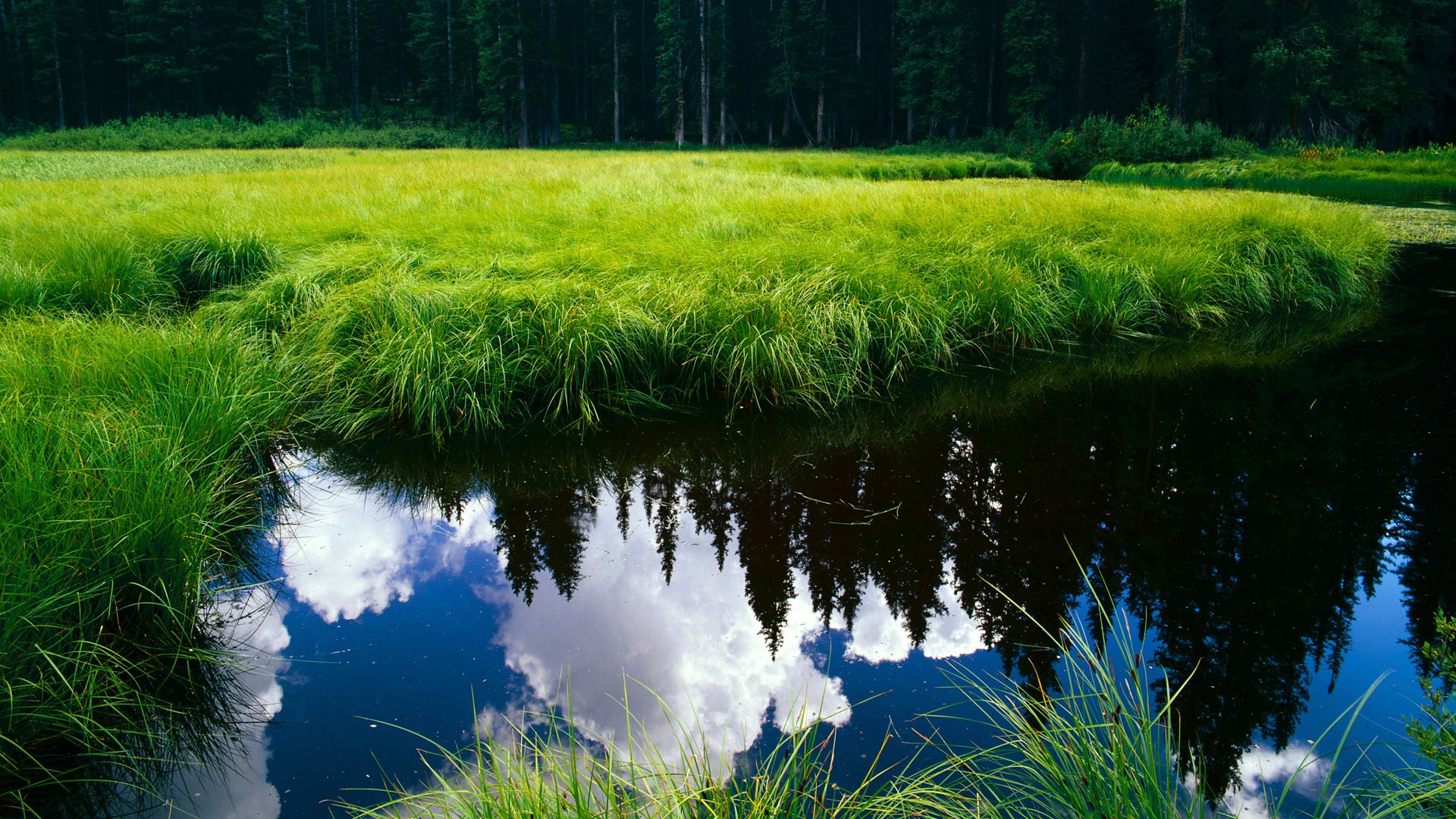 开云体育在线登入-博卡替补球员改变节奏但无力扳平,博卡俱乐部著名球星