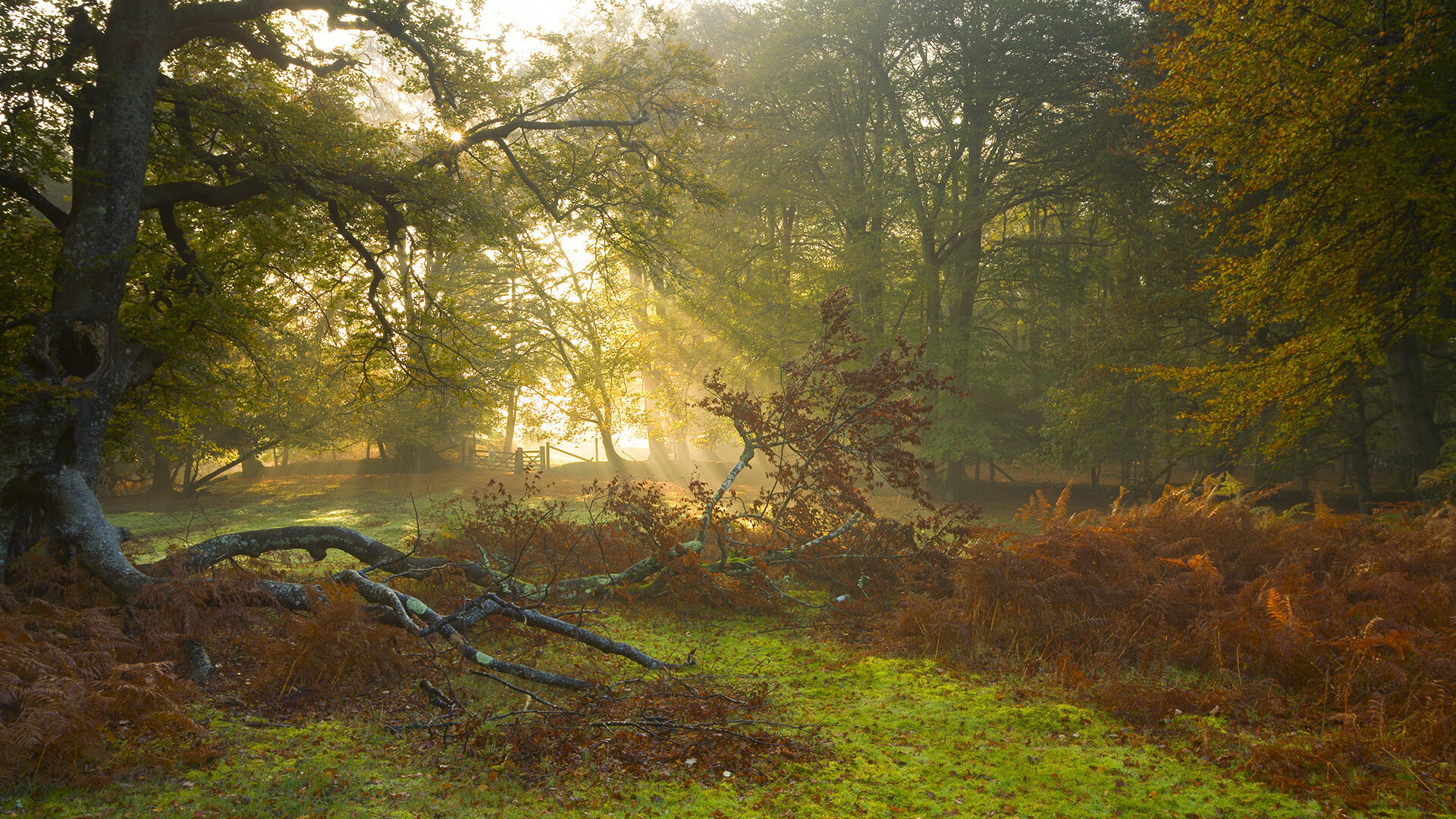 开云体育官网在线-国家男篮在封闭训练中强化默契配合,男篮国家集训队员名单