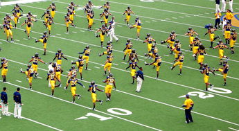 开云体育官网上-国家队教练团队协作存在的问题,教练员队伍建设