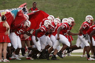 开云体育在线-国家队技战术水平提升瓶颈,国家技巧队