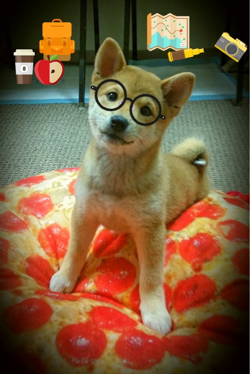 开云体育平台-城市马拉松公益性质增强,公益马拉松的意义