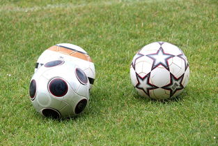 开云体育官网app-基层足球俱乐部资金短缺,基层足球俱乐部资金短缺的原因