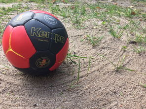 开云体育登录入口-奥预赛中国女足战胜 球员状态回暖明显,中国女足奥运会预选赛比分