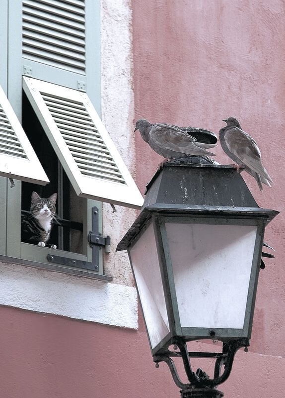 开yun官网-技术数据反映整体实力提升,技术数据反映整体实力提升的例子