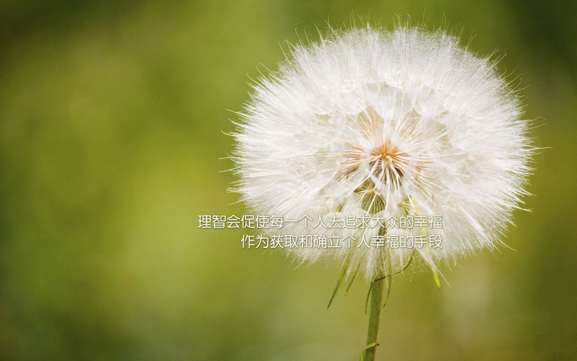 kaiyun网址-德国队队员伤愈复出，重返赛场，德国队苦主