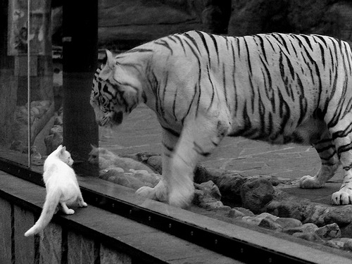 开云ky官网-拜仁传切渗透快速高效,拜仁传记 开云ky官网-拜仁传切渗透快速高效,拜仁传记