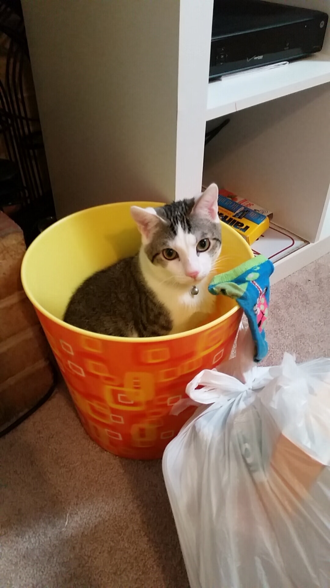 开云体育官网-快节奏战术是否适合外线为主的球队,快节奏定义