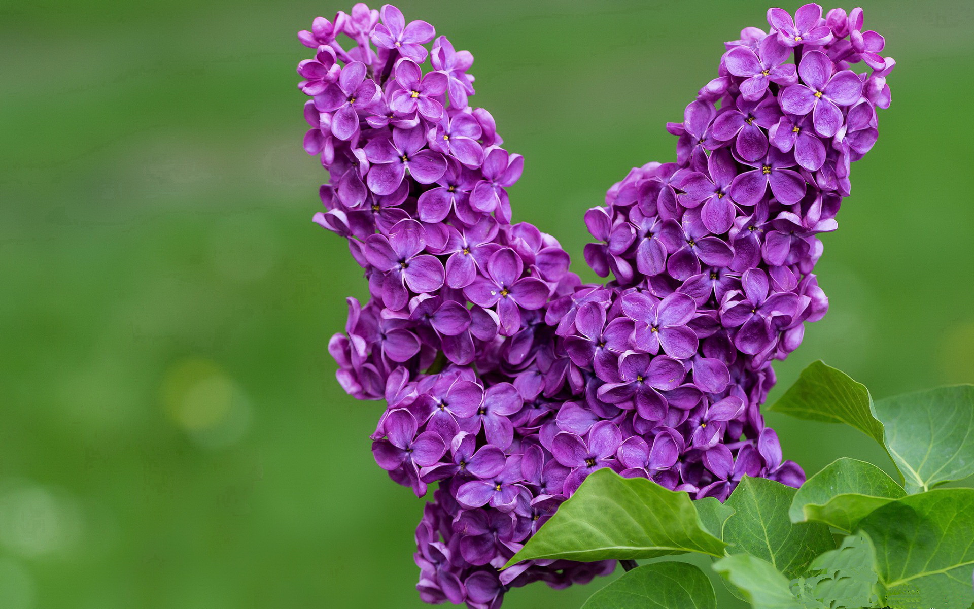 开云官方网-快速逼抢制造空档引爆进攻端