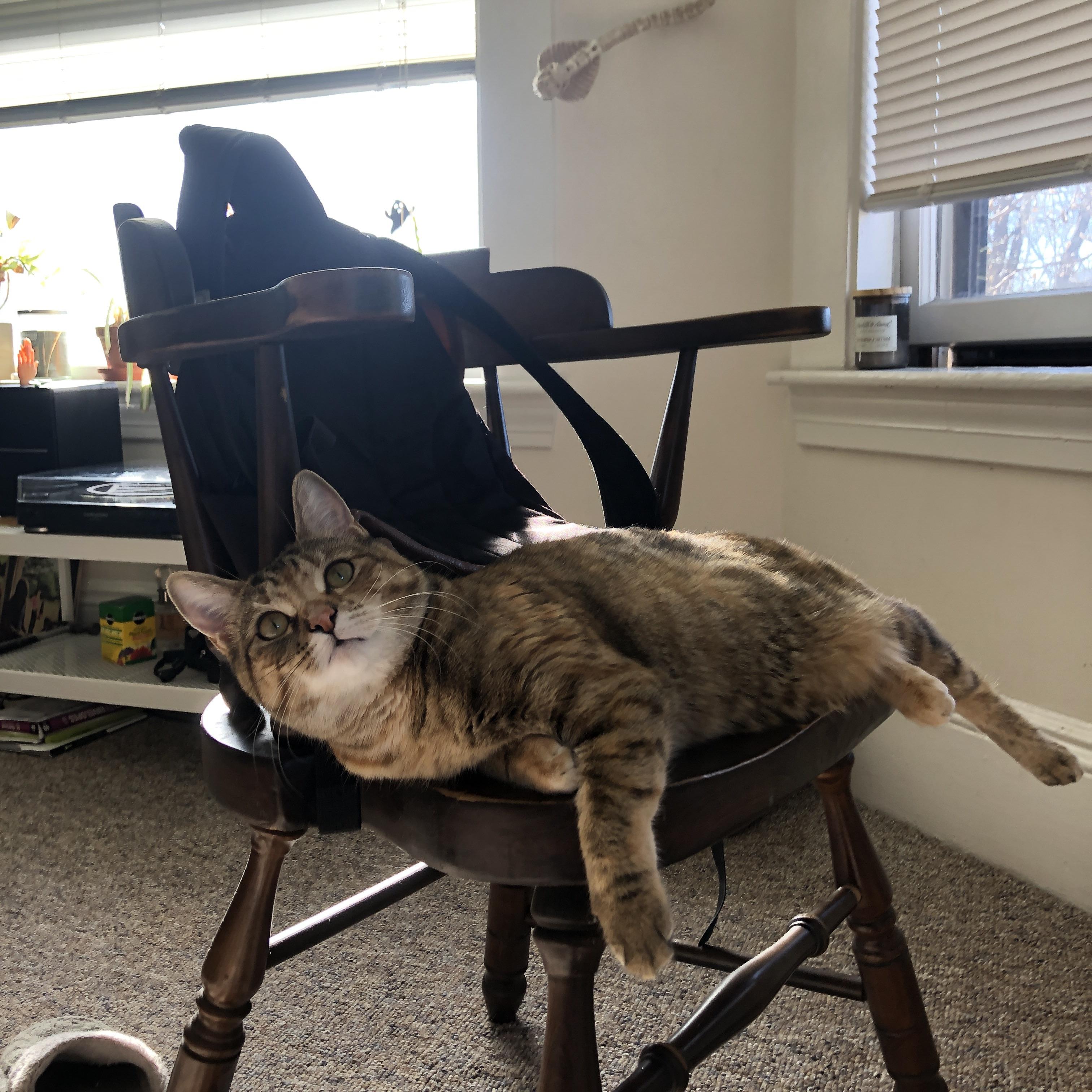 开云体育网站-接力战术灵活多变,团队协作紧密,接力队伍