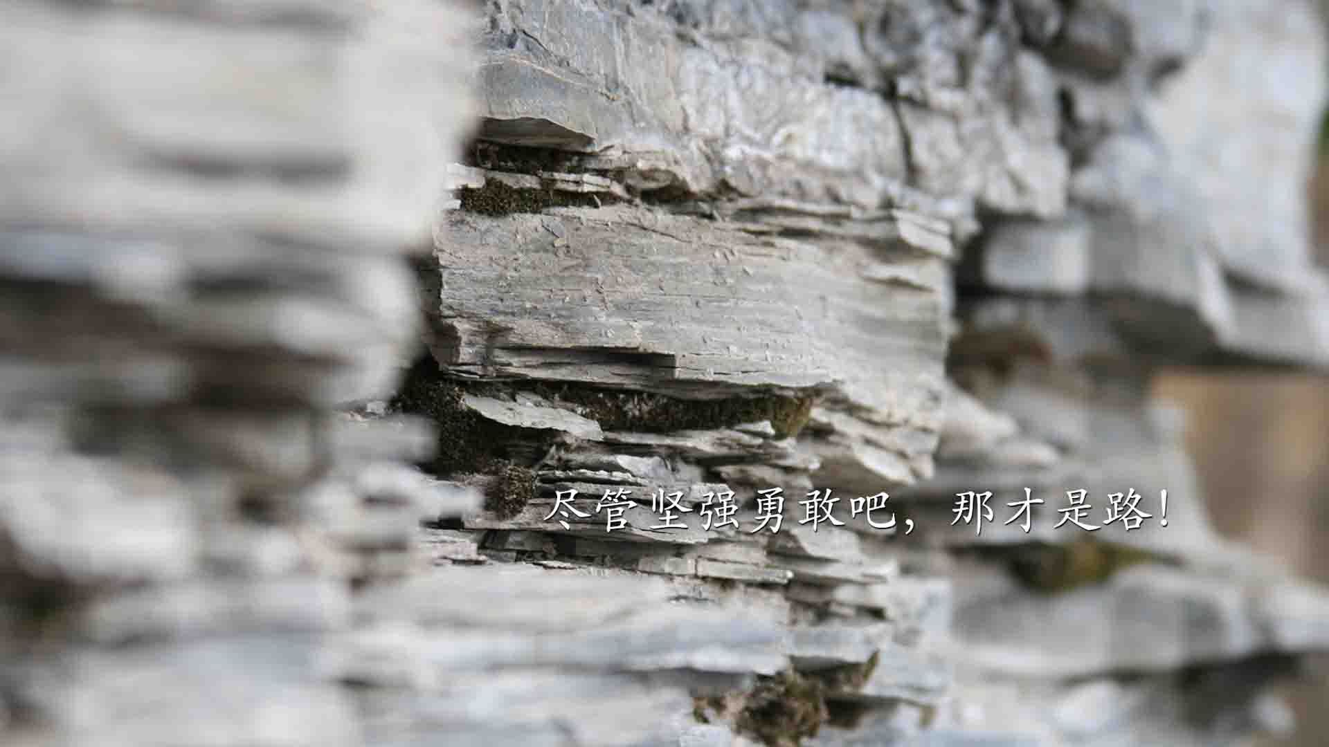 开云体育app入口-拜仁锋线跑动灵活形成层层攻势,拜仁战术风格打法