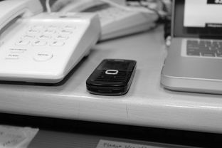 开云体育登录-技术数据揭示冠军转身平均仅0.65秒,冠军转盘