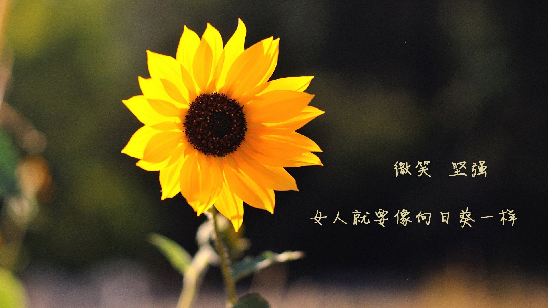 开云官网-慢节奏控制是否需要核心球员具备高球商,慢节奏类型有哪些