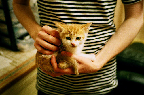 开云体育app官网-战队积分排名胶着每场比赛都关乎晋级命运,战队赛积分有什么用 开云体育app官网-战队积分排名胶着每场比赛都关乎晋级命运,战队赛积分有什么用