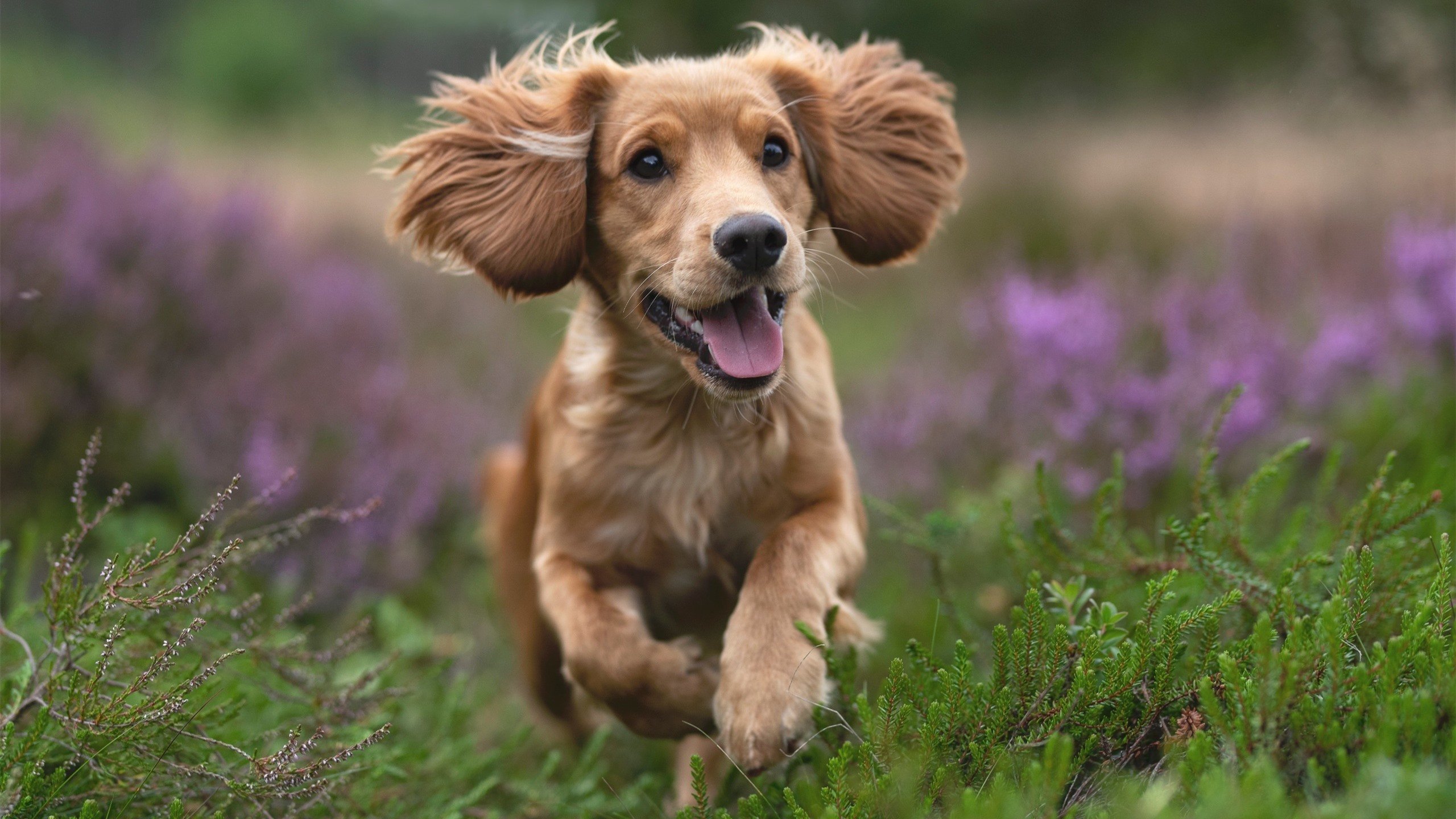 开云体育娱乐-搏击台上选手竞技水平持续提升，搏击展示