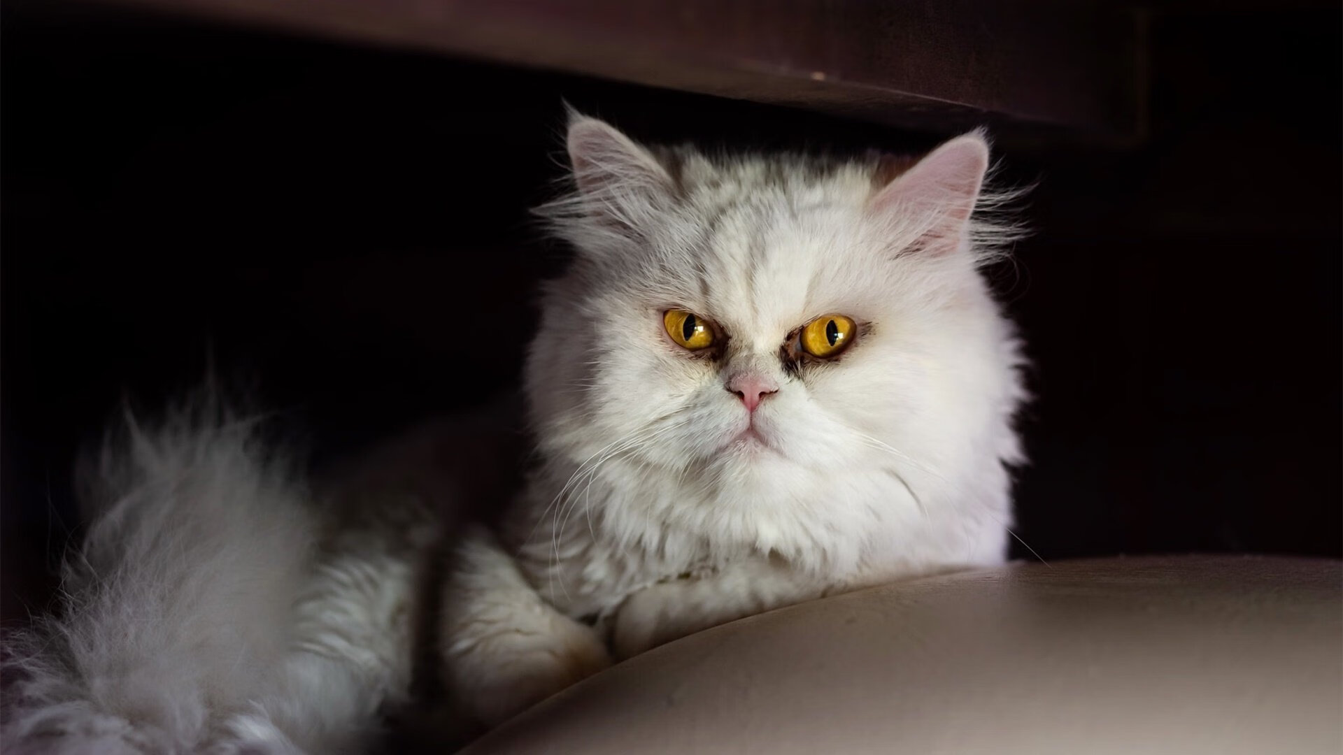 开云体育在线入口-球队后防高位站位策略是否增加越位风险,后防最好的球队