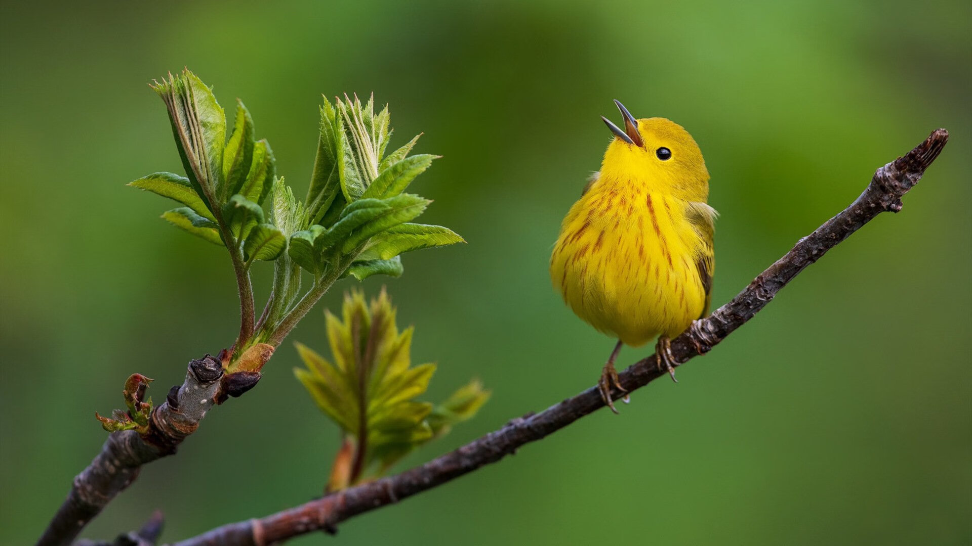 开云体育在线入口-球队后防高位站位策略是否增加越位风险,后防最好的球队