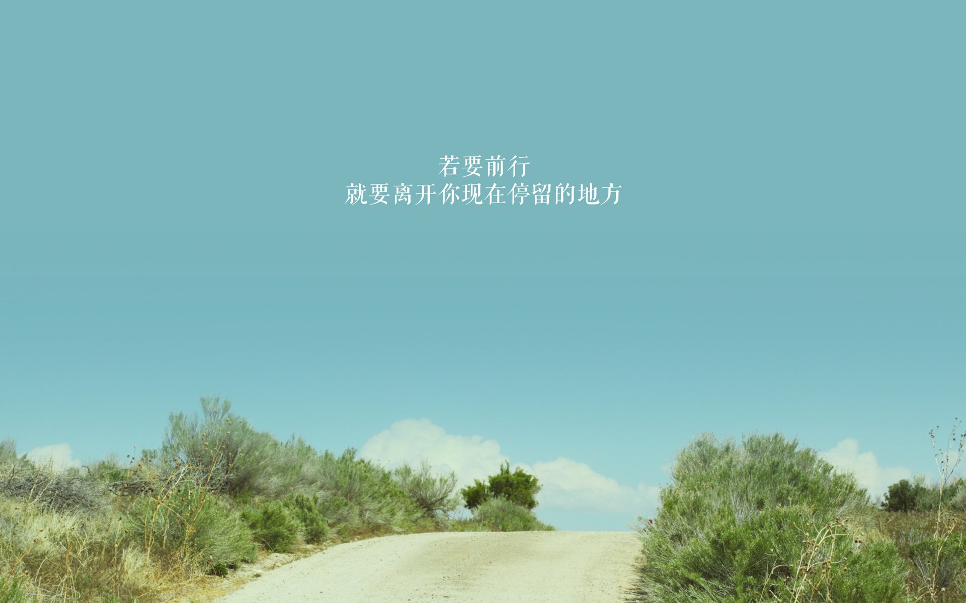 开云体育娱乐-澳女队多项目晋级决赛,澳女超ds