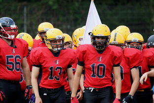 开云体育官网-球员伤病防护不足，球员伤病对球员的影响