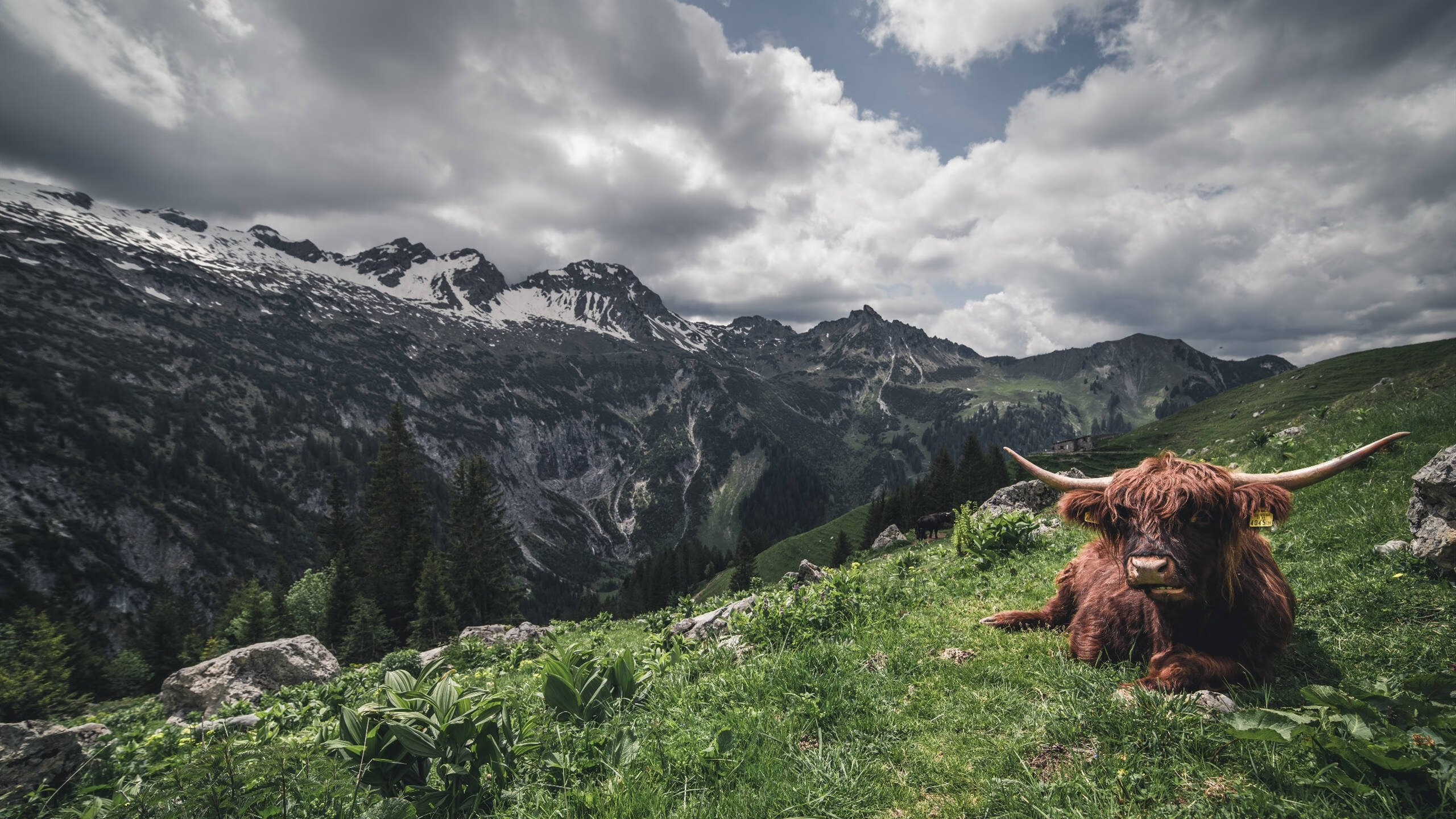 kaiyun开云体育-澳大利亚团队赛制解析:如何在国际赛场上提升竞争力,澳大利亚大奖赛赛道