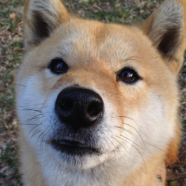 开云体育官网下载-球员体能与体格仍弱于亚洲强队,球员身体素质