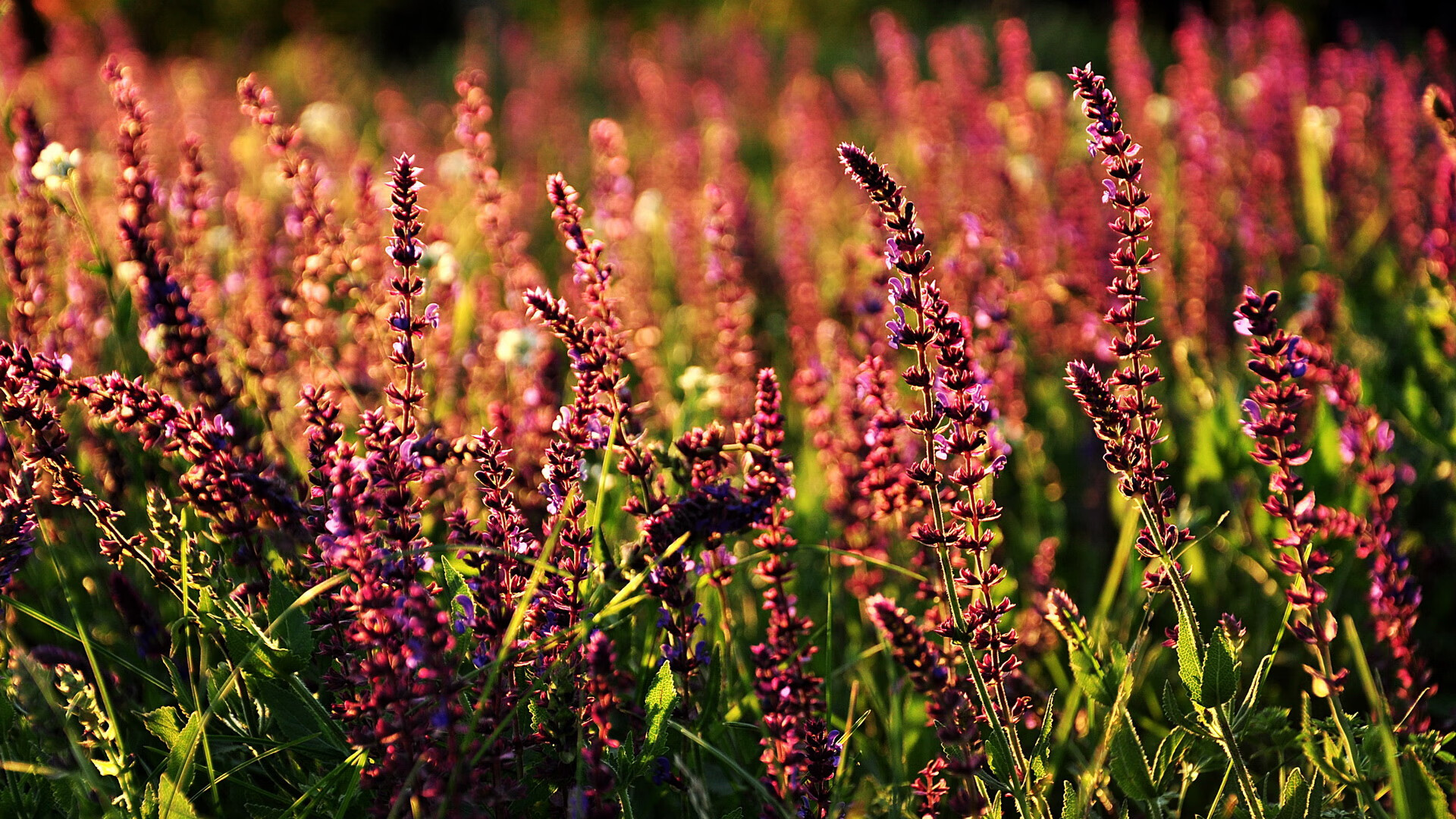 开云体育平台-田径竞赛首次引入无人车辅助测量,无人车辆路径规划