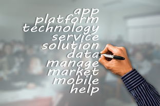 开云体育网站-瑞典队未来:如何建立更具竞争力的国际品牌,瑞典队分析