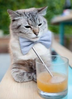 开云体育在线-田径赛季备战训练紧张有序,田径准备运动