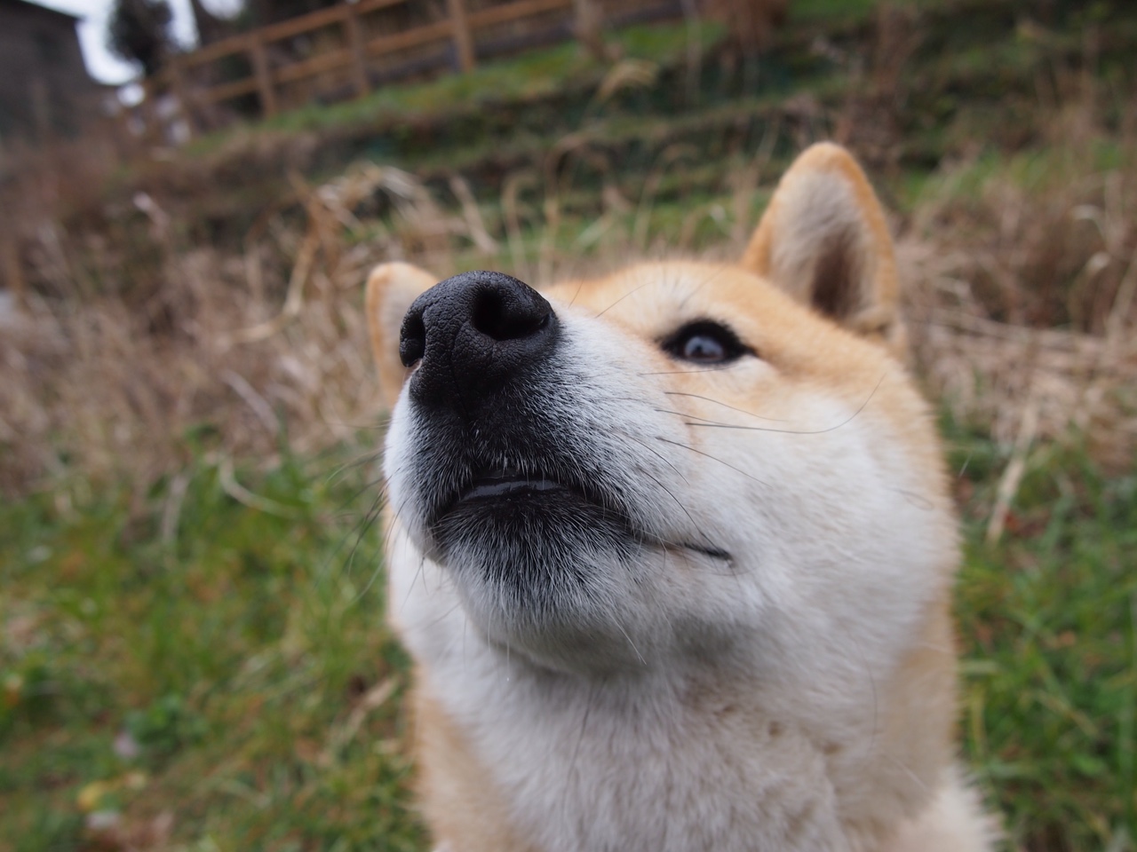 开云体育官网app-男子自游泳突破个人极限,男子自由泳比赛