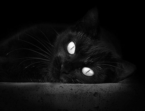 开云体育网址-男子蝶泳争金惜败留遗憾,男子蝶泳世界记录