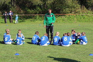 开云体育官网下载-瑞典团队战术:从快攻到慢球的多变打法,瑞典几分钟进球