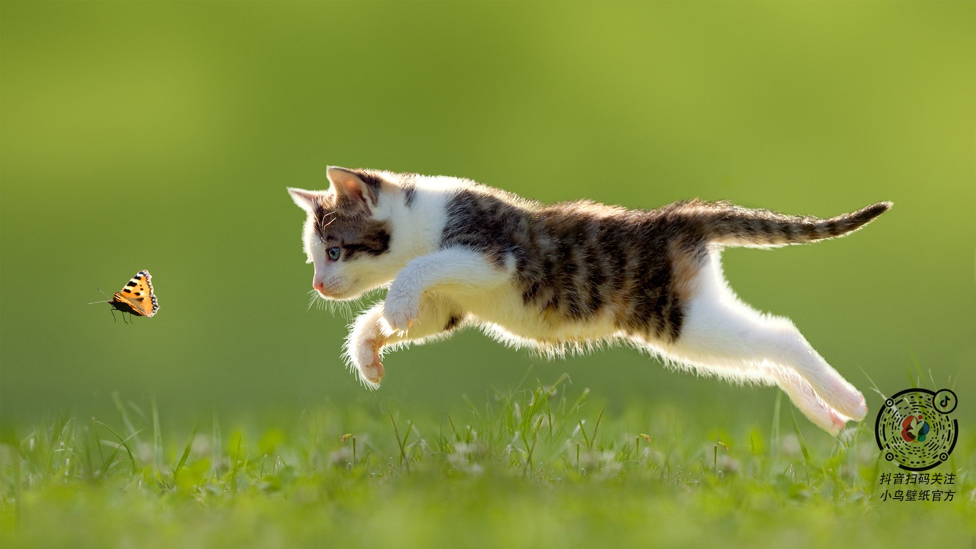 开云体育登录-皇马连续不败展现冠军气质,皇马连续不败展现冠军气质的球员