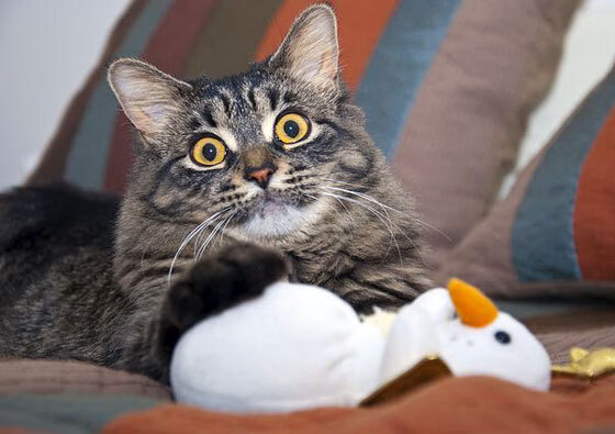 开云体育-美方划频提升更剧烈,中方更线性稳定,中方欲发言时美方赶走媒体