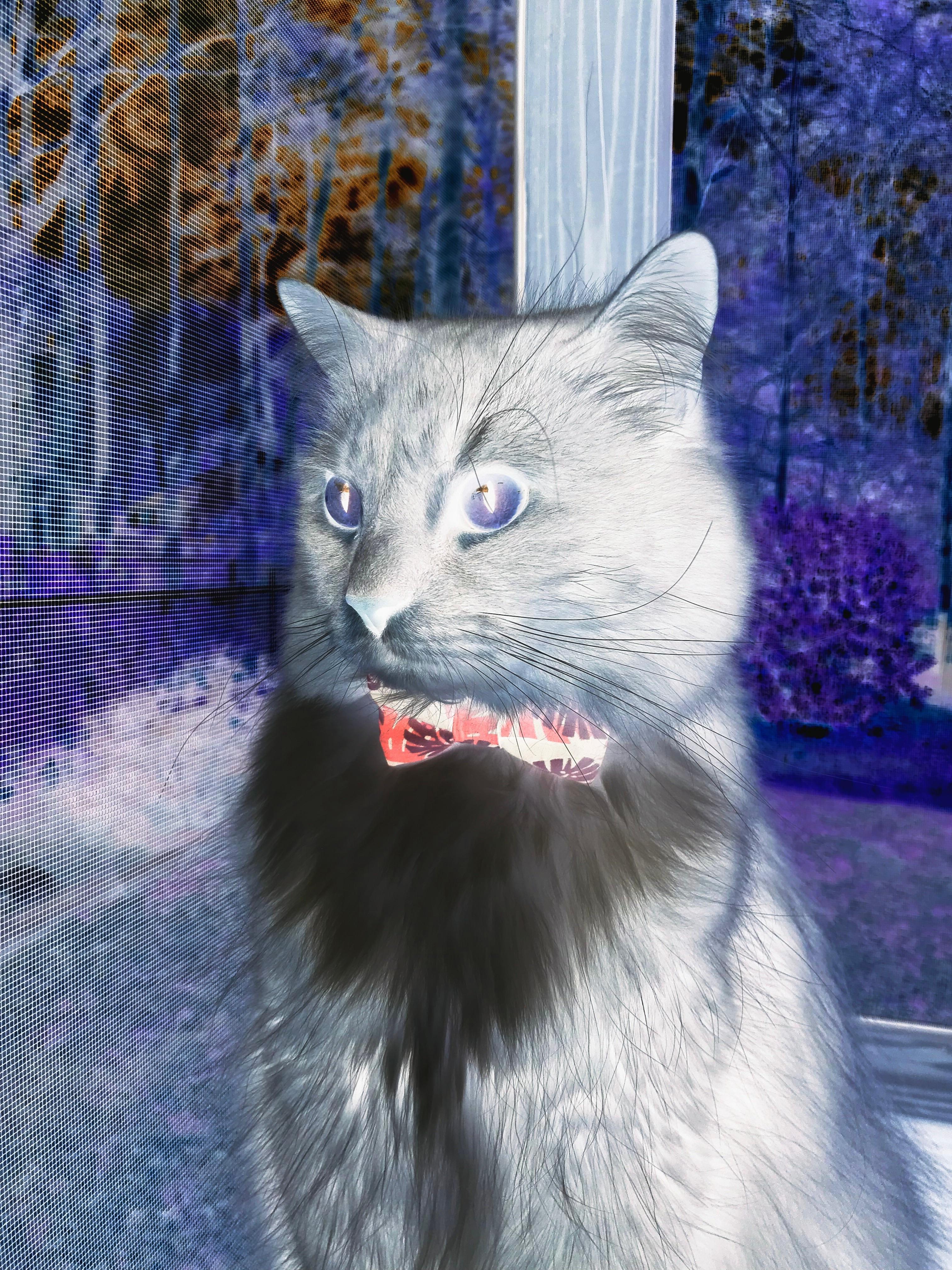 开yun官网-职业球员技术与身体素质不均衡,职业球员技术与身体素质不均衡怎么办