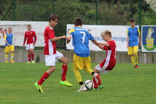 开云体育下载-自由搏击教练参与校园自卫课程开发,学校自由搏击