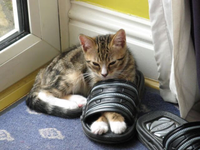 开云体育娱乐-赫塔菲阵容稳定性提升掌控比赛节奏,赫塔菲7连败