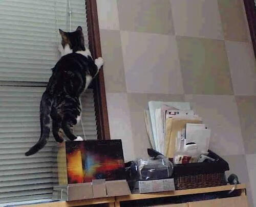 开云在线入口-足球主帅赛前发布会话题不断,足球 主帅