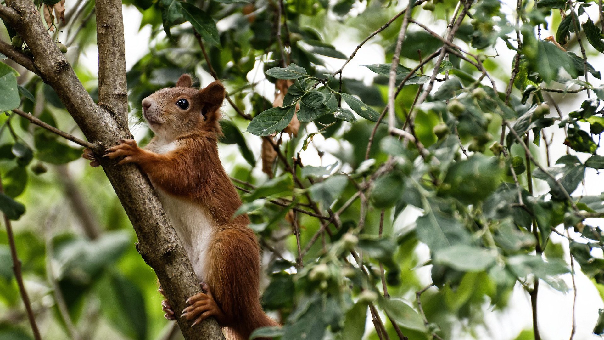 开云体育app在线-辽宁男篮三分手感低迷进攻端陷入停滞,辽宁男篮3分球