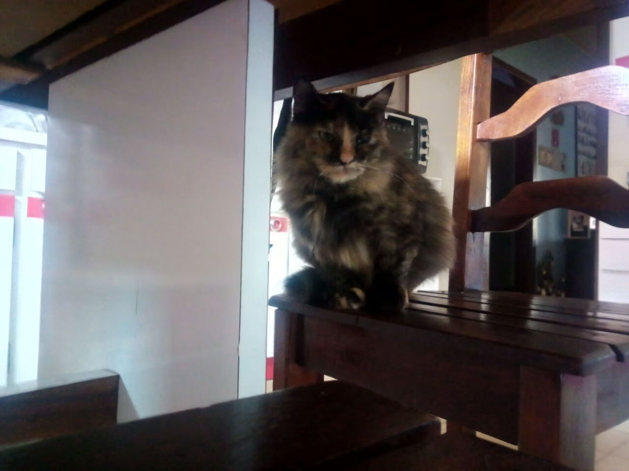 开云体育网站-青训教练专业能力有待提升，青训教练培训