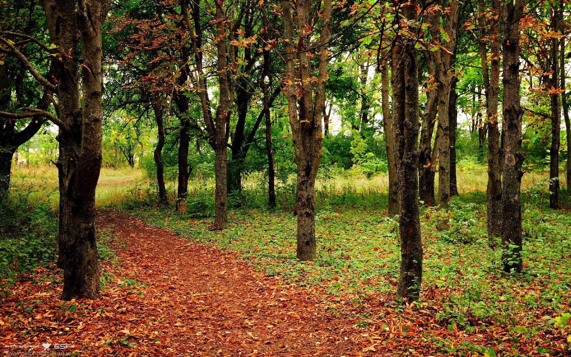 开云体育在线入口-青年运动员海外访问团展开文化交流之旅,国外的青年运动