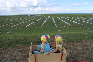 开云体育网站-青少年足球训练方法现代化，青少年足球技术